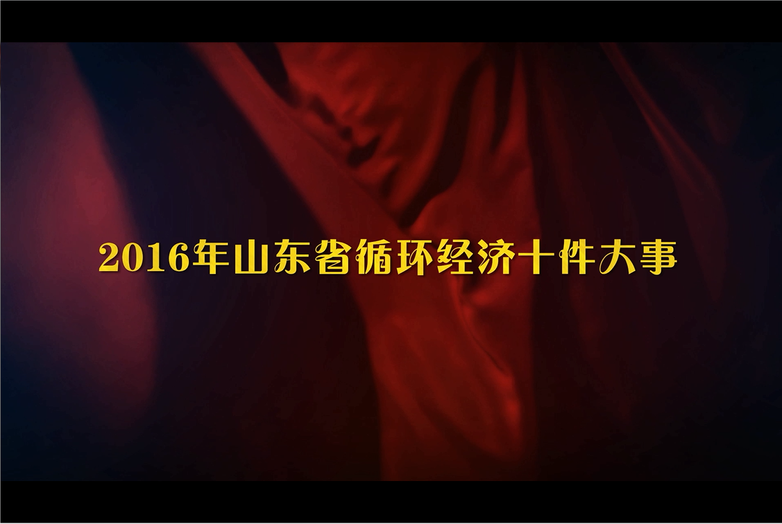 2016山東循環經濟“三個十”